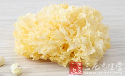 變質發黃的銀耳是受黃桿菌污染所造成