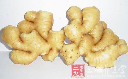 腐爛後的生姜產生一種毒性很強的黃樟素