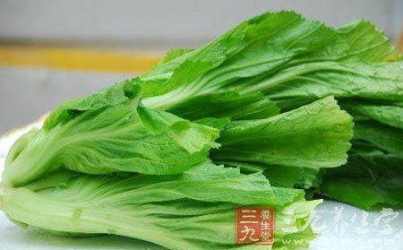 橄榄菜的營養價值特別高