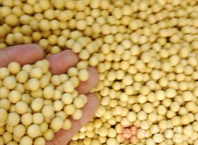 豆類能讓你覺得更飽