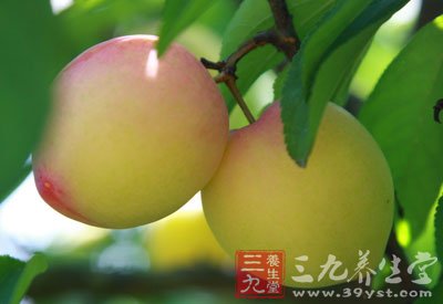相克食則拉痢