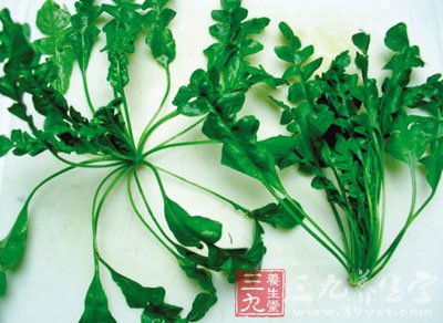含草酸較多的蔬菜如菠菜竹筍