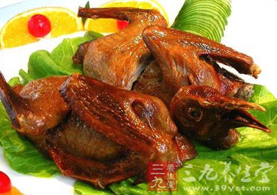 鴿肉含豐富的血紅蛋白脂肪含量低