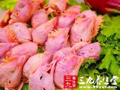 肉類飲食禁忌雞頭不能吃