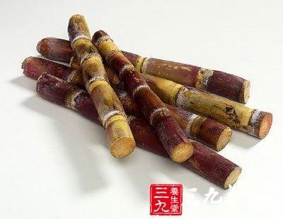 甘蔗注意事項