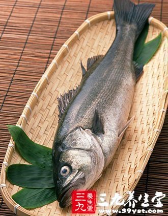 圈養鲑魚