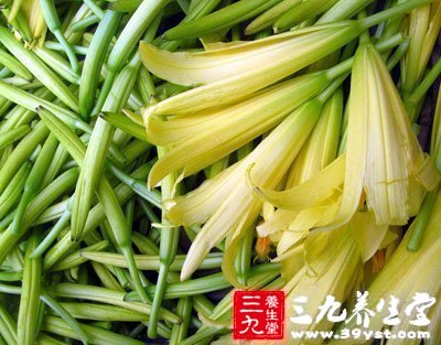 鮮黃花菜