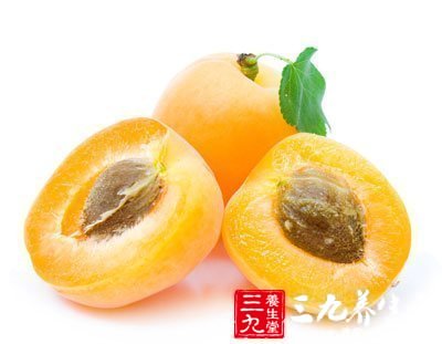 枇杷和胃降氣