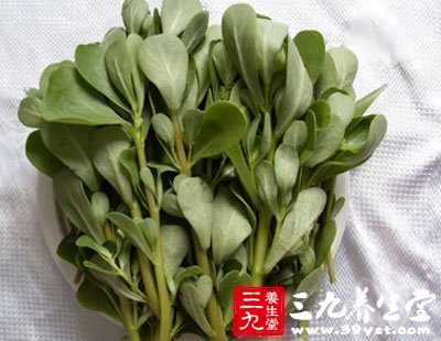 健康的食物有馬齒苋