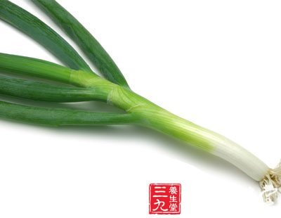 吃蔥會食物中毒