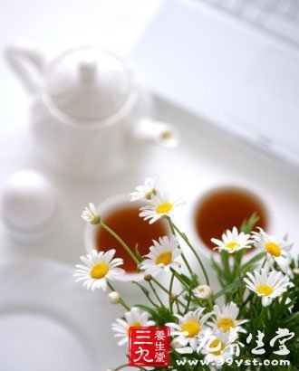 菊花茶中菊花為甘菊