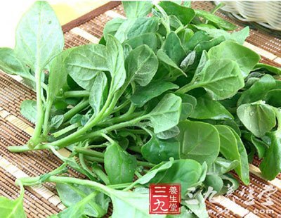 食物禁忌 隔夜葉菜不要吃