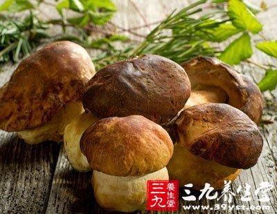 香菇的營養價值