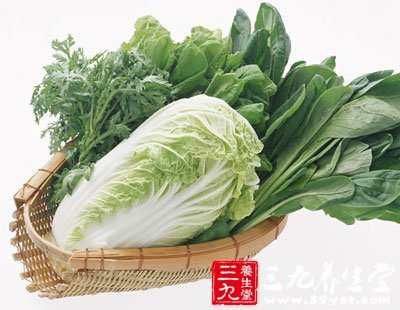食物營養 大白菜