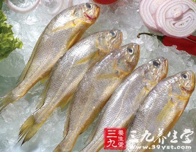 用衛生紙鑒別染色黃魚