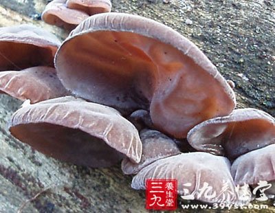 食物中毒 新鮮木耳