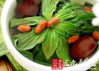 車前草的吃法