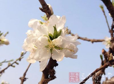 春天到了萬物復蘇