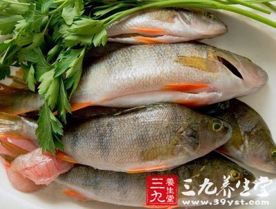如何挑選優質鮮魚