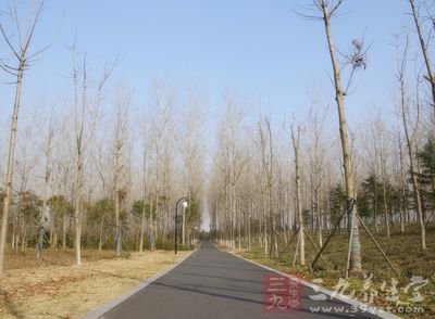 冬季，天氣寒冷，大家要注重養生