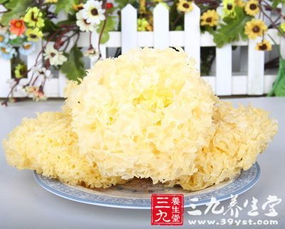 變質發黃的銀耳是受黃桿菌污染所造成