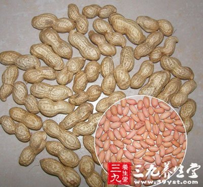 花生好處多多 某些群體不宜多吃