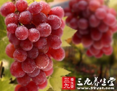 葡萄雖可口 需注意6忌
