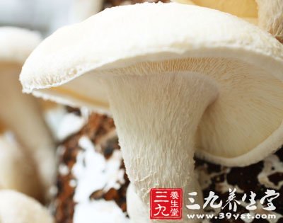 8種家常食物吃錯致中毒 嚴重或喪命
