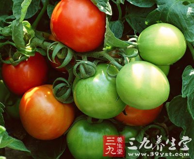 14類常見食物 吃了讓你喪命