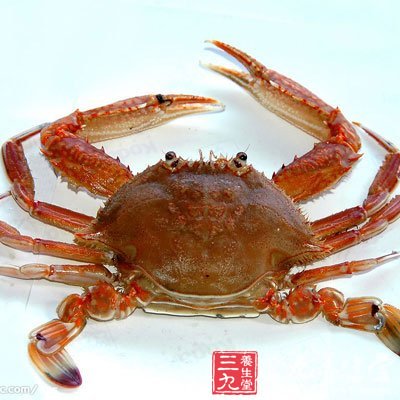 螃蟹
