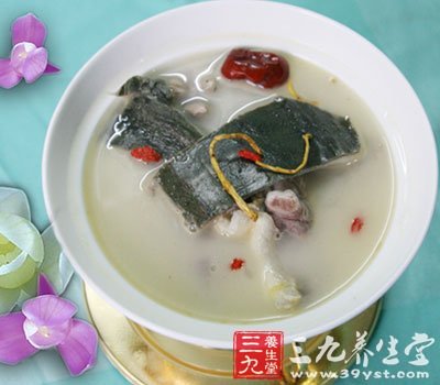 甲魚