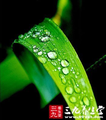 女人要警惕這些寒涼美食