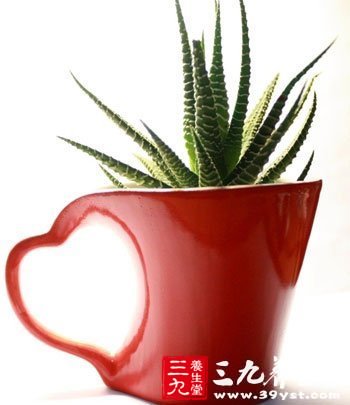 女人要警惕這些寒涼美食
