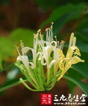 女人要警惕這些寒涼美食