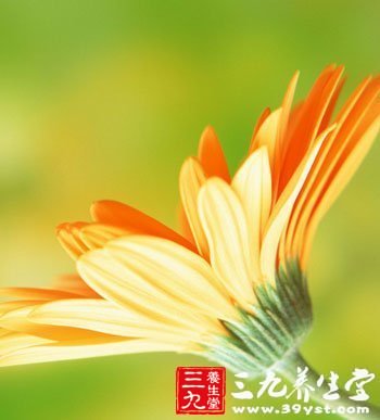 女人要警惕這些寒涼美食
