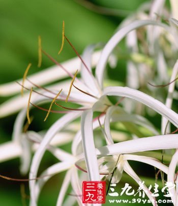 女人要警惕這些寒涼美食