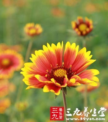 女人要警惕這些寒涼美食