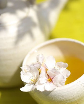 茉莉花減肥茶 濃郁香氣給你好心情