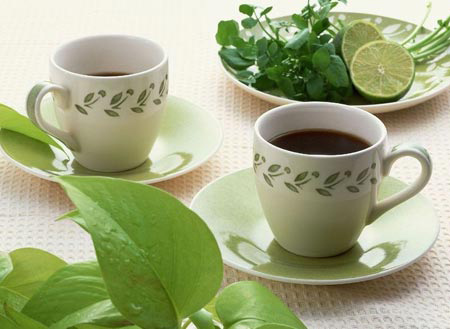 普洱生茶與熟茶那個減肥效果好?