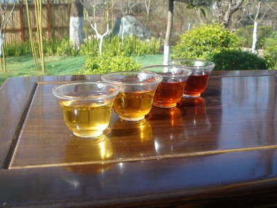 早春減肥 如何選擇減肥茶