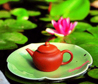荷葉茶不節食也瘦身