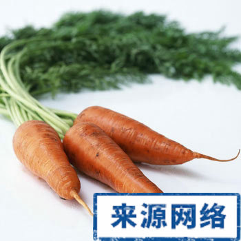 紅蘿卜 減肥汁