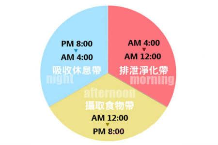 揭曉消耗吸收時間段 減肥更應吃好營養早餐