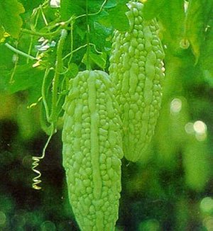“誰”進了產後食物的黑名單