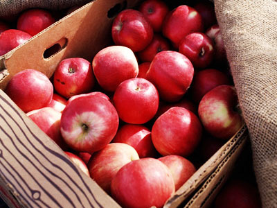 減肥晚餐 可少不可無