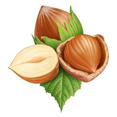 如何預防肥胖 栗子增強飽腹感抑制食欲