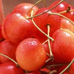減肥:負卡路裡食物燃燒多余脂肪