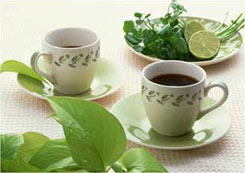  綠茶 
