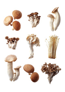 點擊圖片進入下一頁