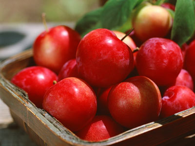 十種明星最信賴食物瘦身法